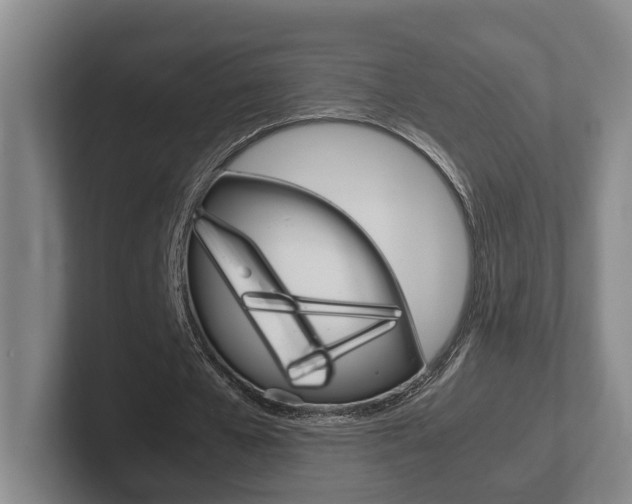 X0000102270577200807250859