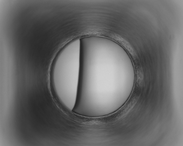 X0000102270578200807250859