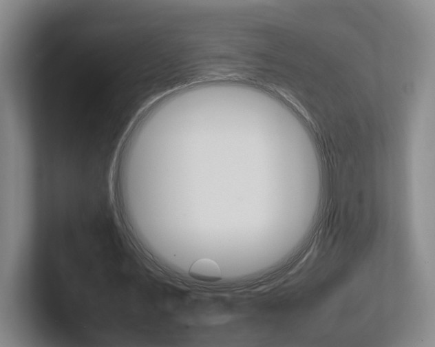 X0000102270579200807250859