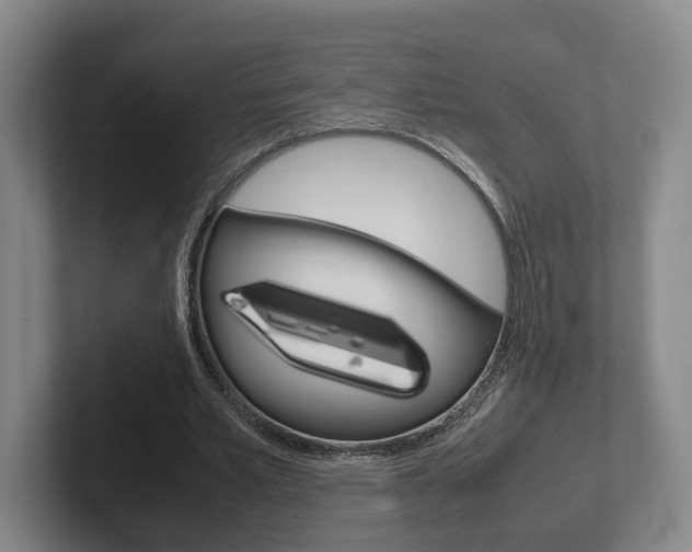 X0000102270581200807250859