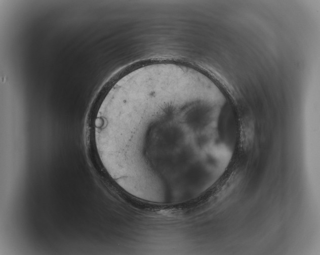 X0000102270584200807250859