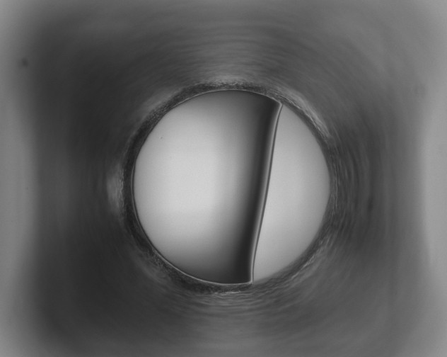 X0000102270588200807250859