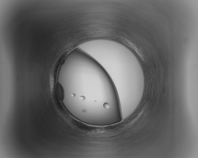 X0000102270589200807250859