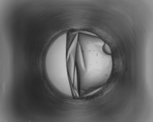 X0000102270592200807250859