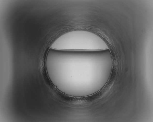X0000102270593200807250859