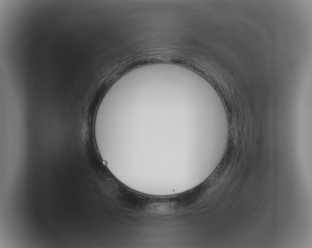 X0000102270595200807250859