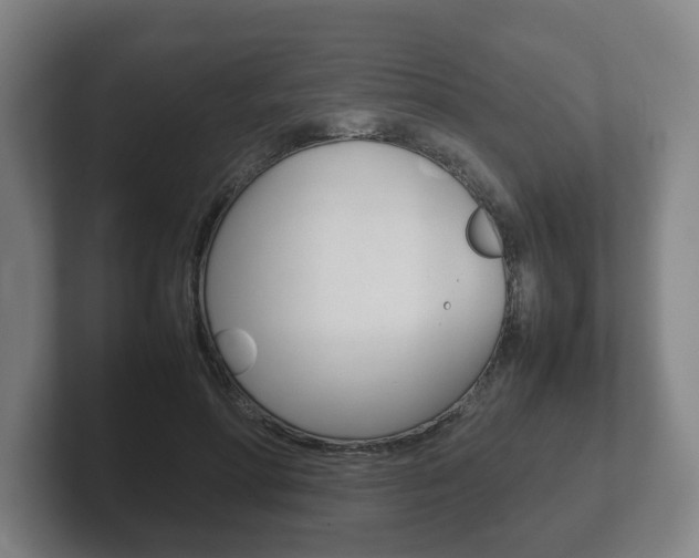 X0000102270598200807250859