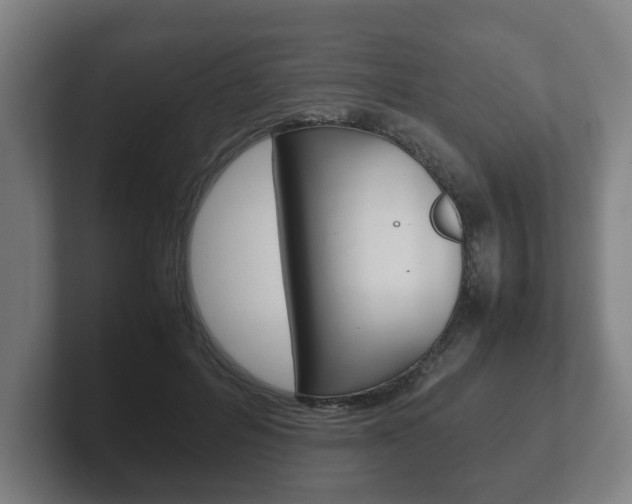 X0000102270600200807250859