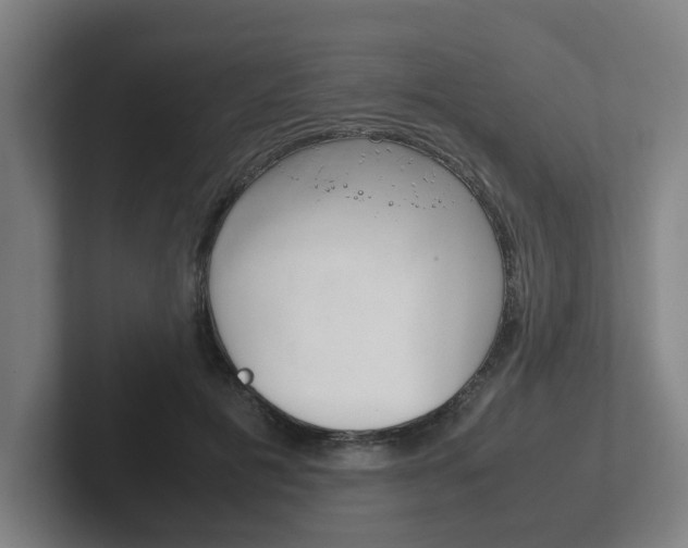 X0000102270601200807250859