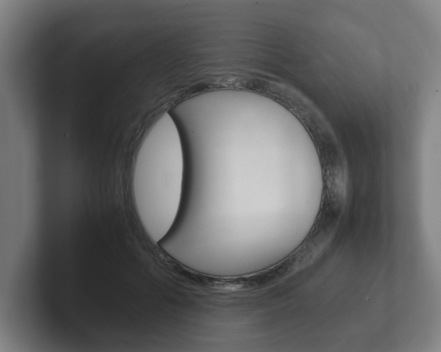 X0000102270602200807250859