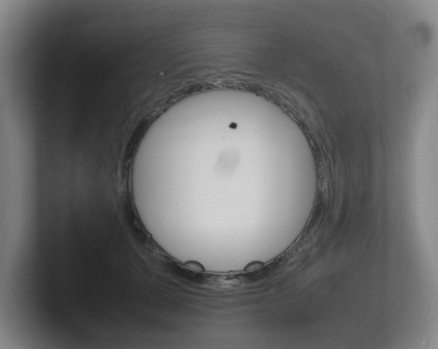 X0000102270607200807250859
