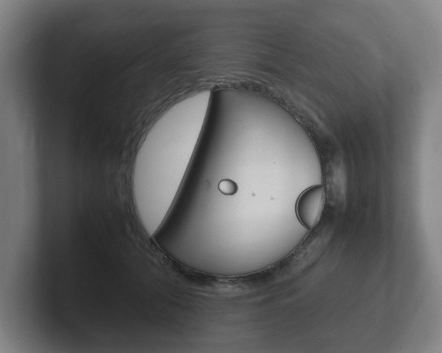 X0000102270608200807250859