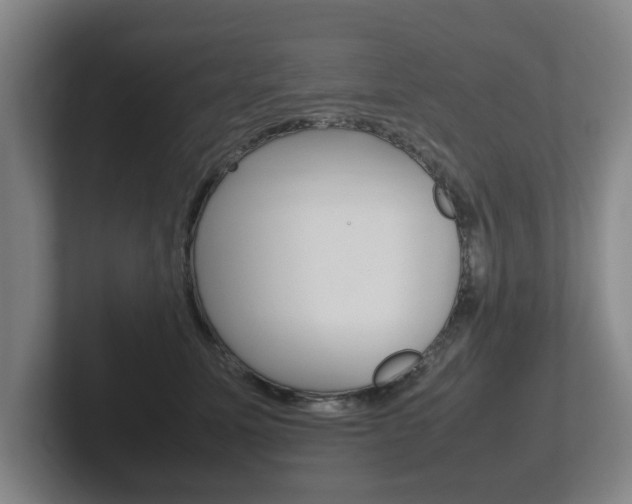 X0000102270611200807250859
