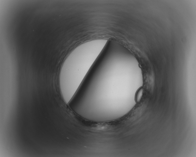 X0000102270612200807250859
