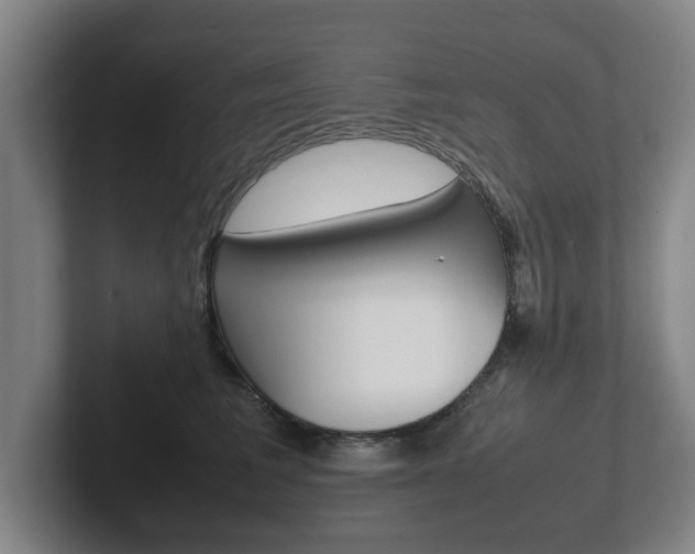 X0000102270613200807250859