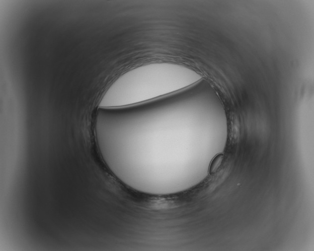 X0000102270616200807250859