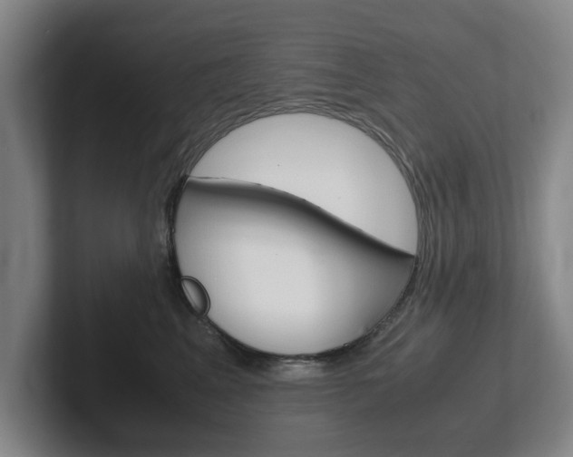 X0000102270617200807250859