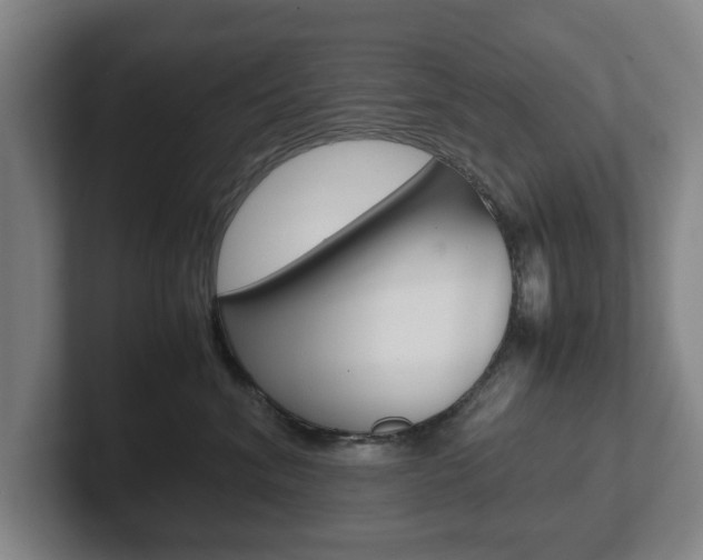 X0000102270620200807250859