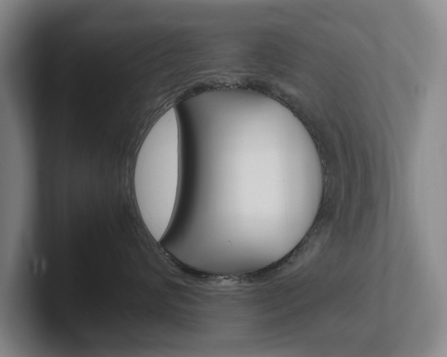 X0000102270624200807250859