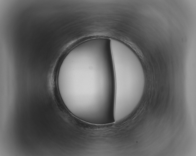 X0000102270628200807250858