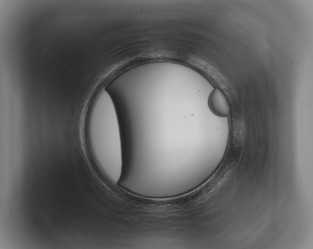 X0000102270629200807250858