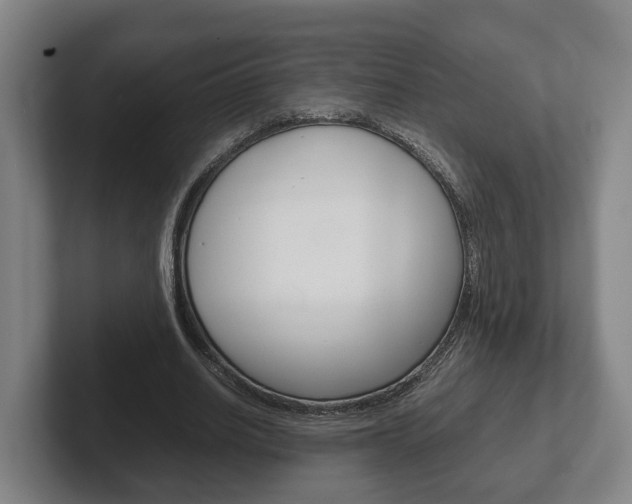 X0000102270630200807250858