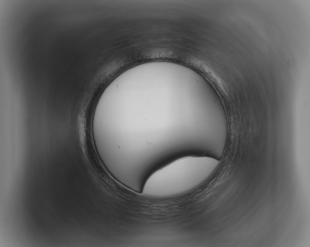X0000102270631200807250858