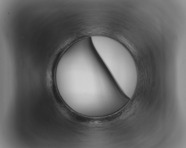 X0000102270634200807250858