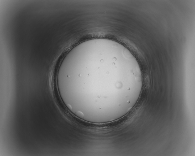 X0000102270638200807250858
