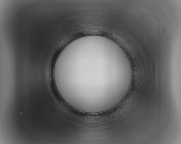 X0000102270642200807250858
