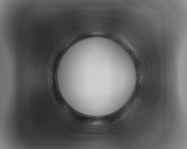 X0000102270643200807250858
