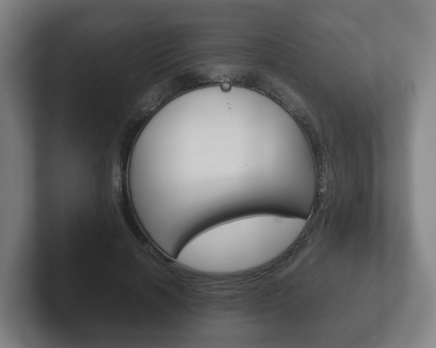 X0000102270646200807250858
