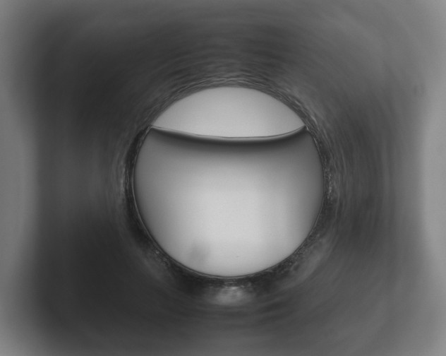 X0000102270647200807250858
