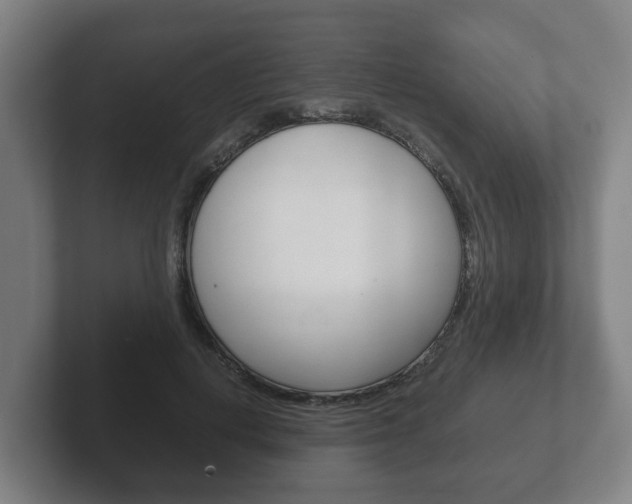 X0000102270648200807250858