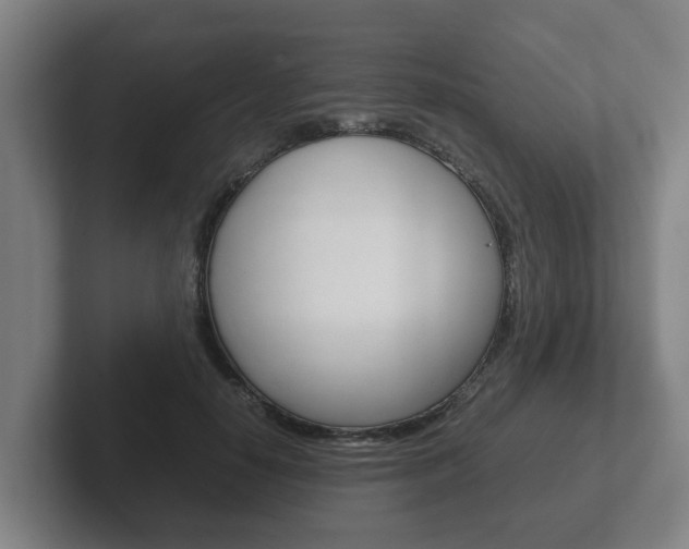 X0000102270650200807250858