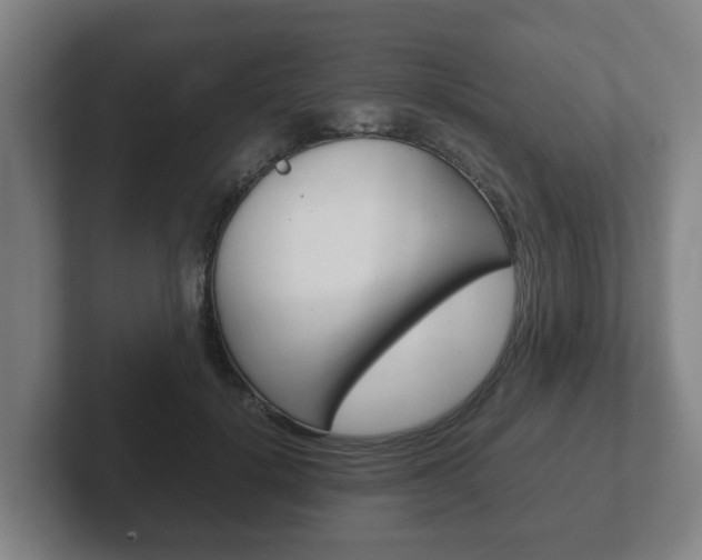 X0000102270652200807250859