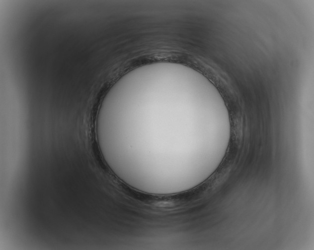 X0000102270653200807250859