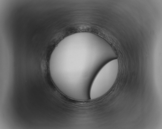 X0000102270654200807250859