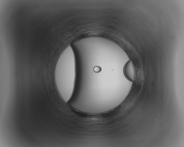 X0000102270655200807250859