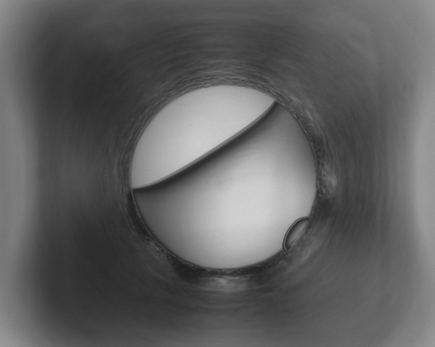 X0000102270657200807250859