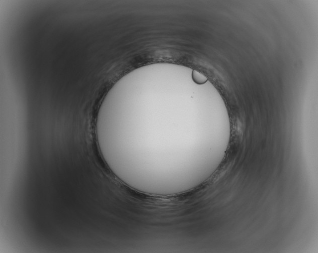 X0000102270663200807250859
