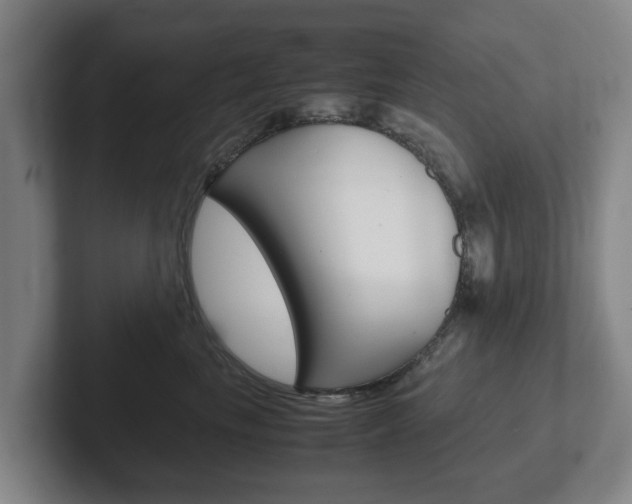 X0000102270665200807250859