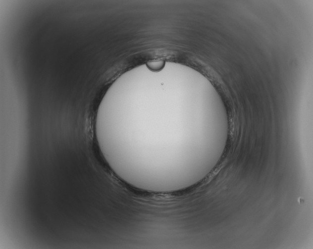 X0000102270666200807250859