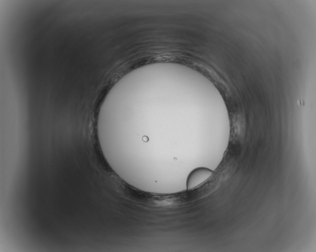 X0000102270667200807250859