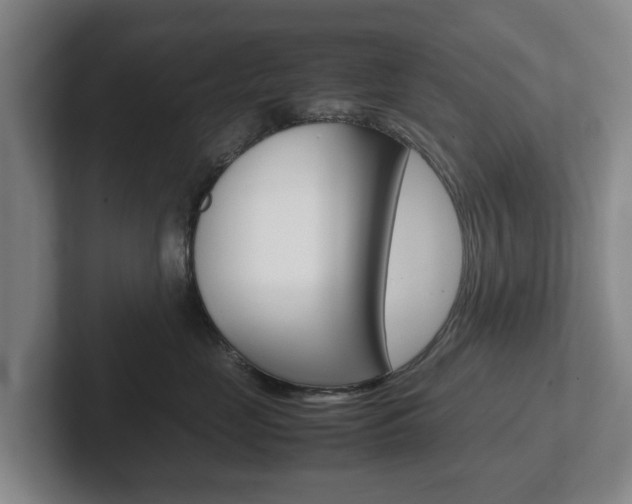 X0000102270669200807250859