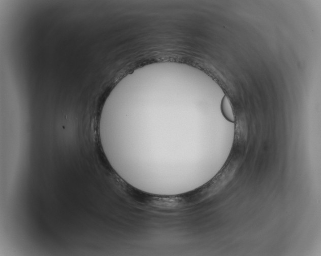 X0000102270671200807250859