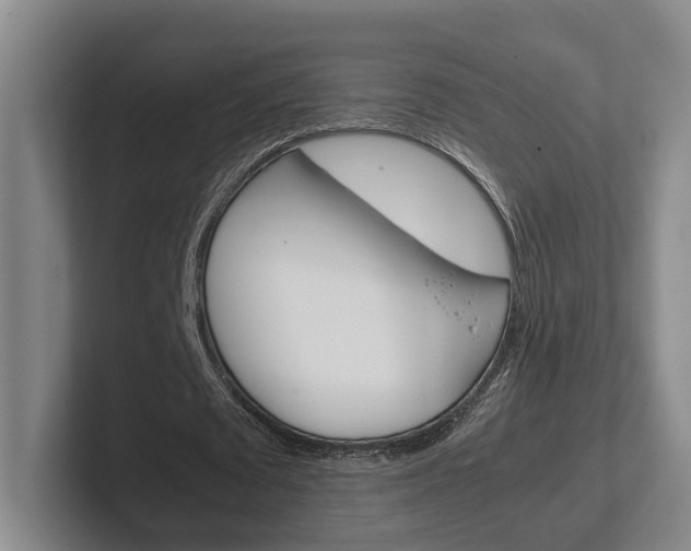 X0000102270673200807250858