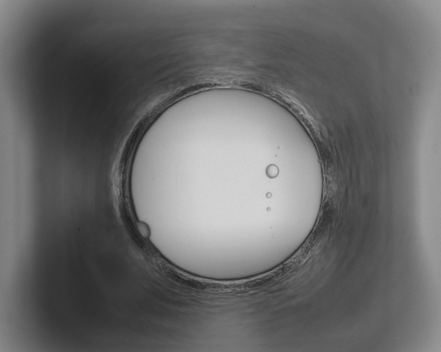 X0000102270679200807250858