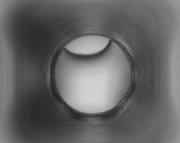 X0000102270681200807250858
