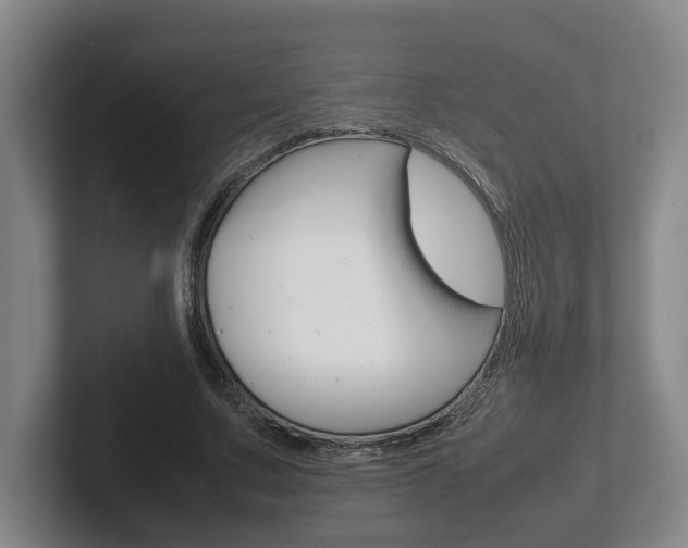 X0000102270683200807250858